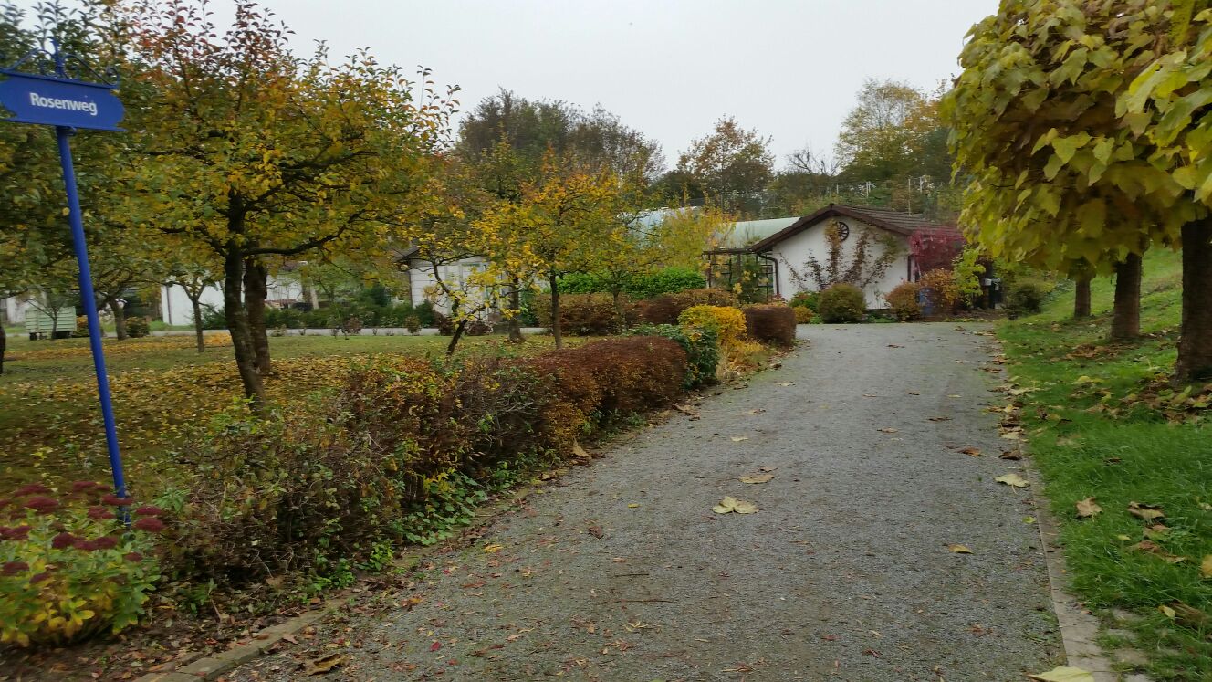 IMG-20151101-WA0011