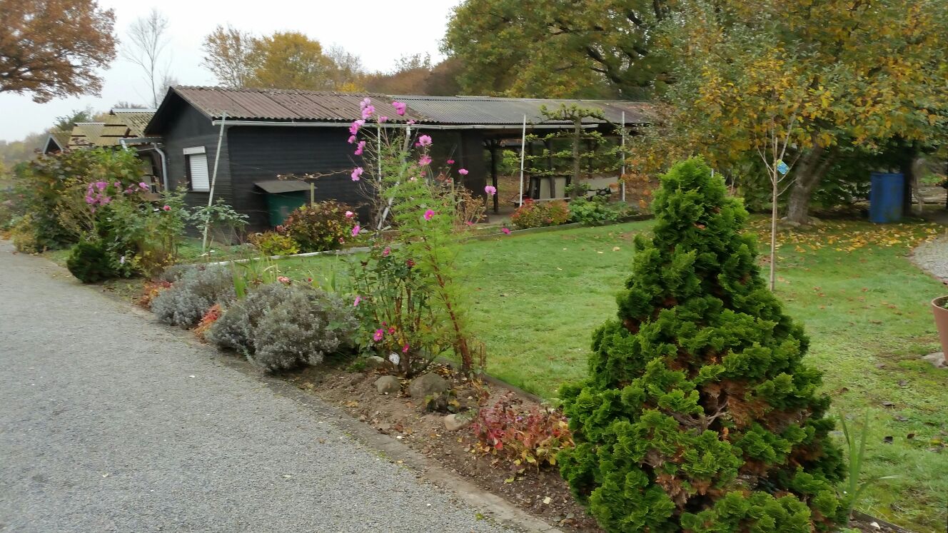 IMG-20151101-WA0022