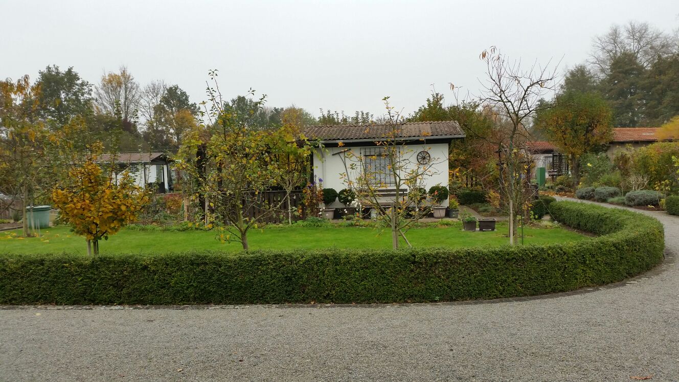 IMG-20151101-WA0048
